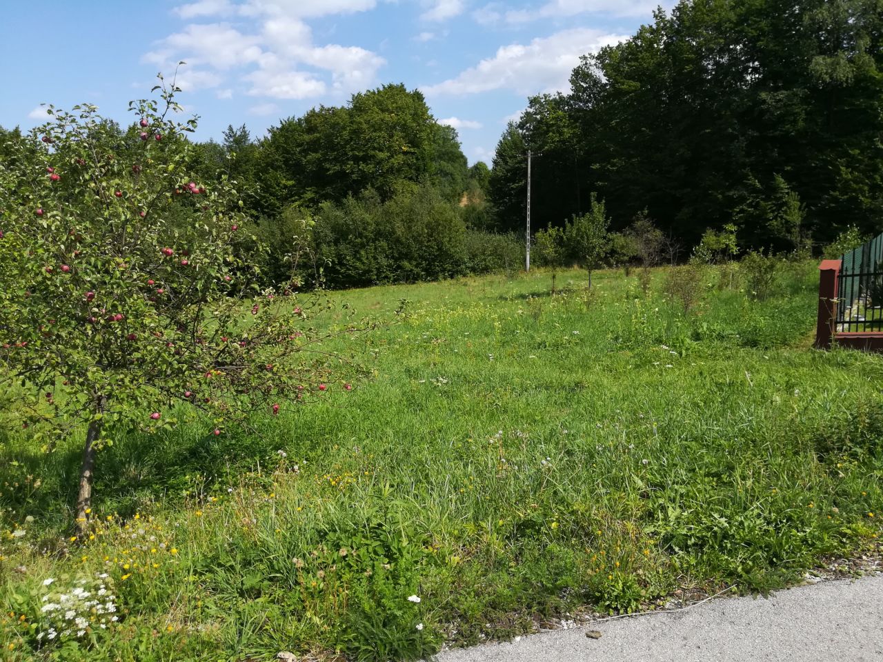 Działka inna Skawinki, ul. Leszczynowa. Zdjęcie 6