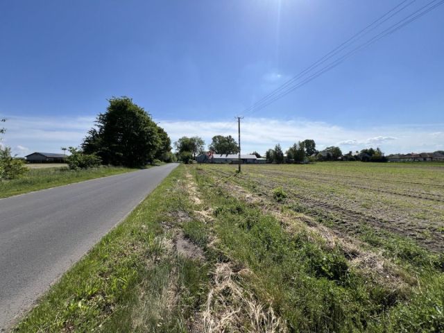 Działka budowlana Lubiejew. Zdjęcie 3