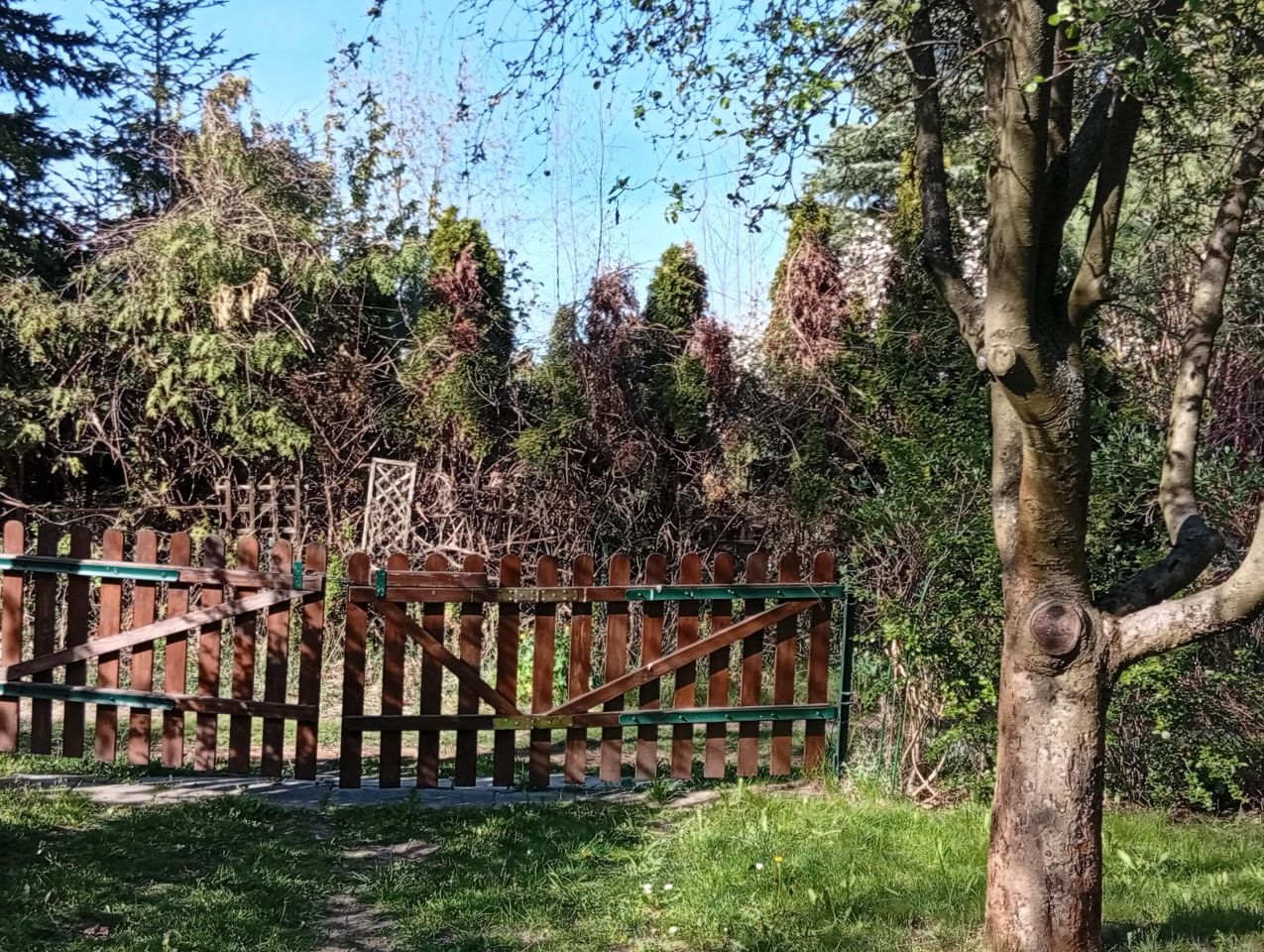 Działka rod Wólka Kozodawska, ul. Główna. Zdjęcie 4