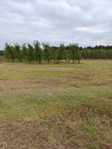 Działka budowlana Niwy Ostrołęckie. Zdjęcie 1