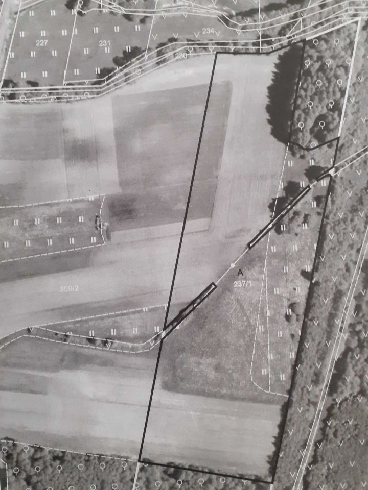 Działka rolna Dargiń. Zdjęcie 2