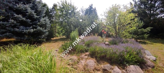 siedlisko, 3 pokoje Budy Wolskie. Zdjęcie 10