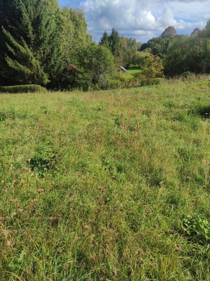 Działka siedliskowa Golcowa. Zdjęcie 13