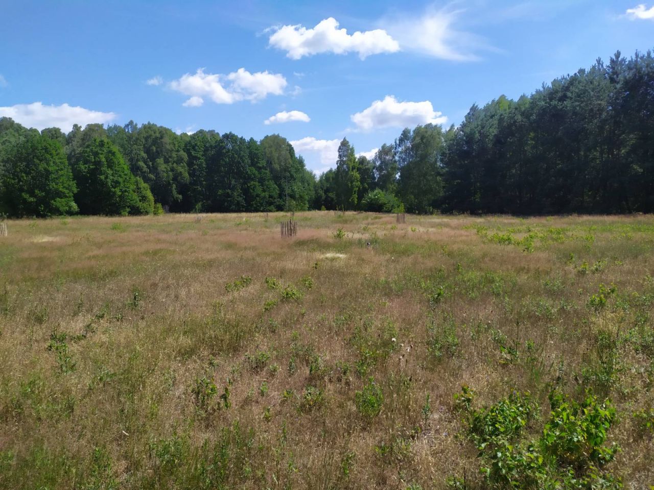 Działka budowlana Benenard, ul. Graniczna