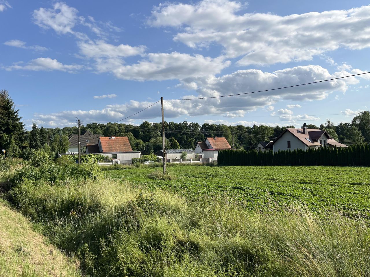 Działka budowlana Bodzanów, os. Osiedle II. Zdjęcie 5