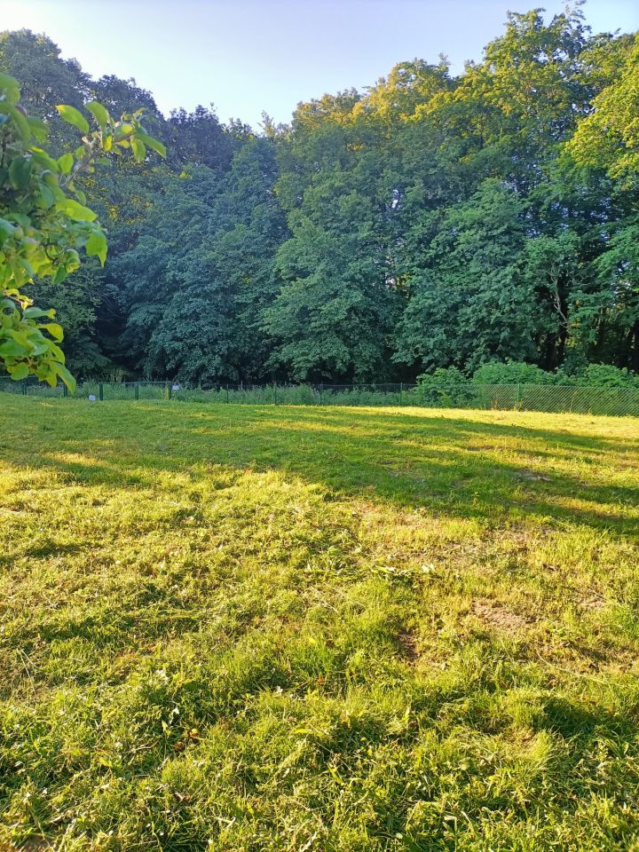 Działka rod Gdańsk Złota Karczma, ul. mjr. Mieczysława Słabego. Zdjęcie 3