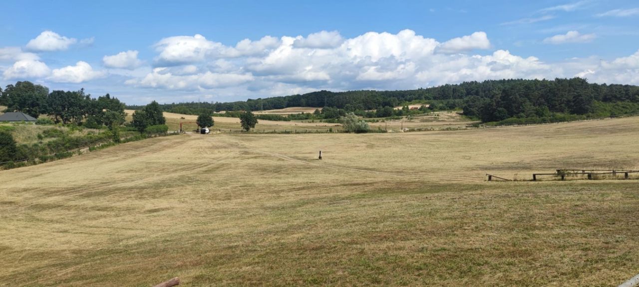 Działka budowlana Sułomino. Zdjęcie 13