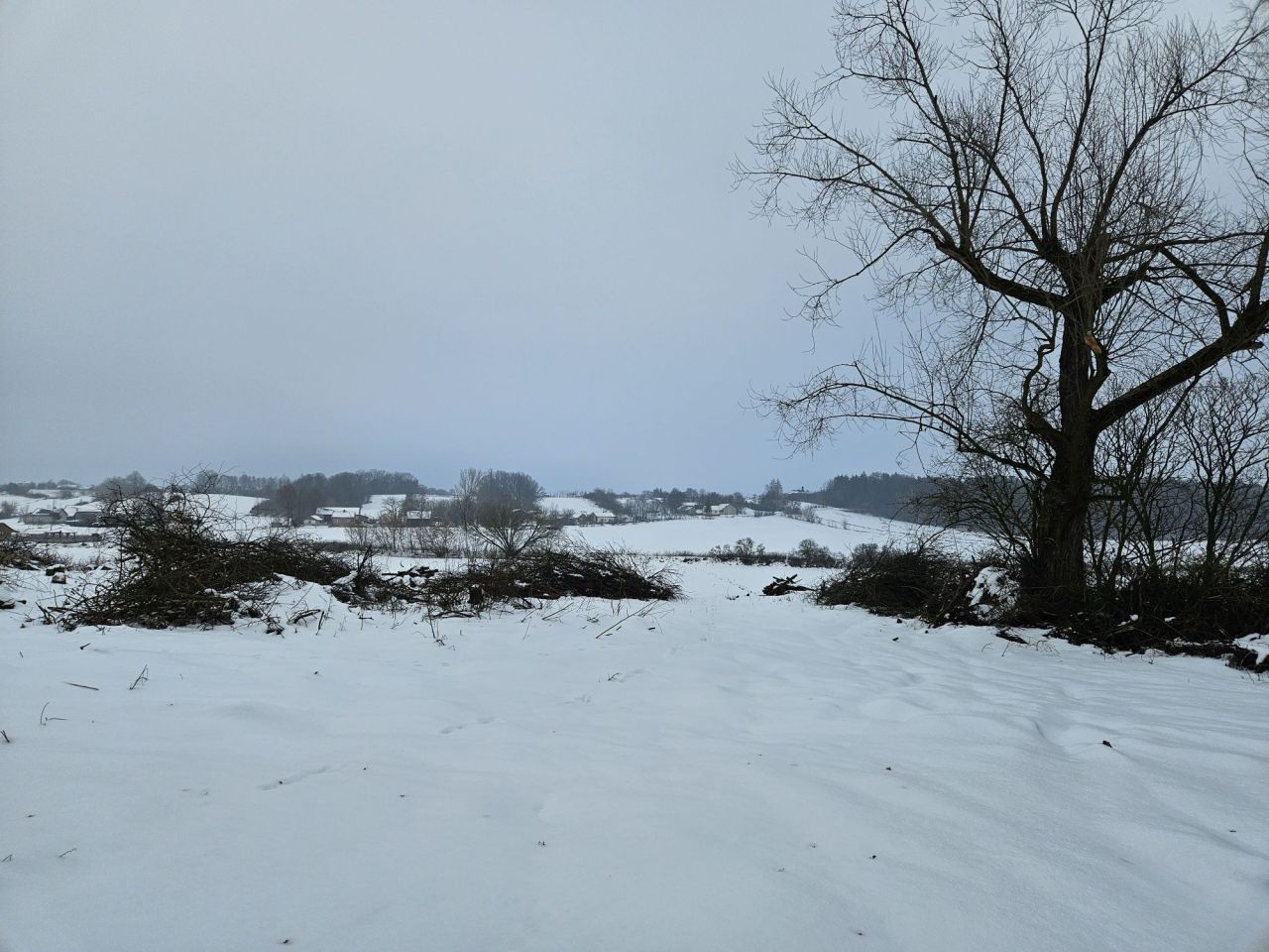 Działka rolno-budowlana Wólka Chrapanowska. Zdjęcie 3