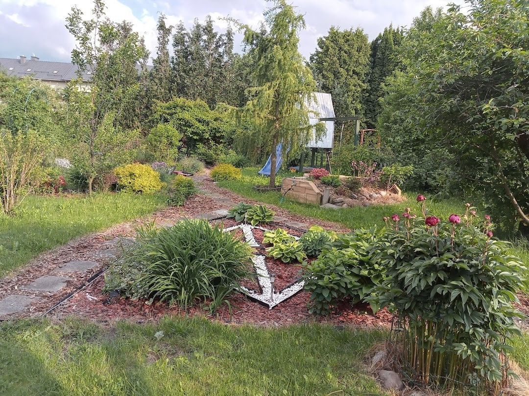 Działka rod Grodzisk Mazowiecki, ul. Akacjowa. Zdjęcie 4