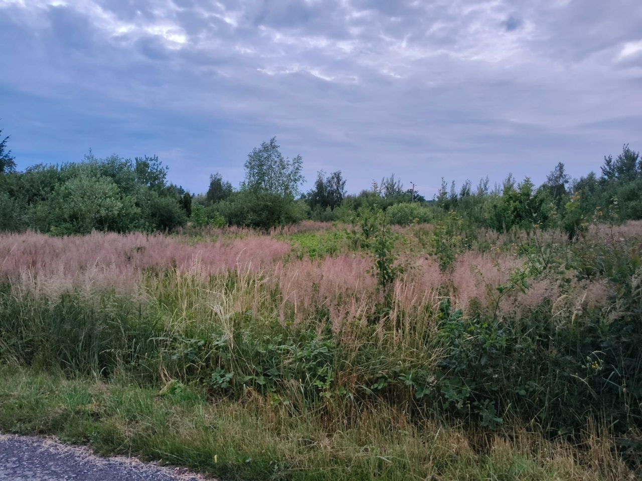 Działka budowlana Ludwinów. Zdjęcie 6
