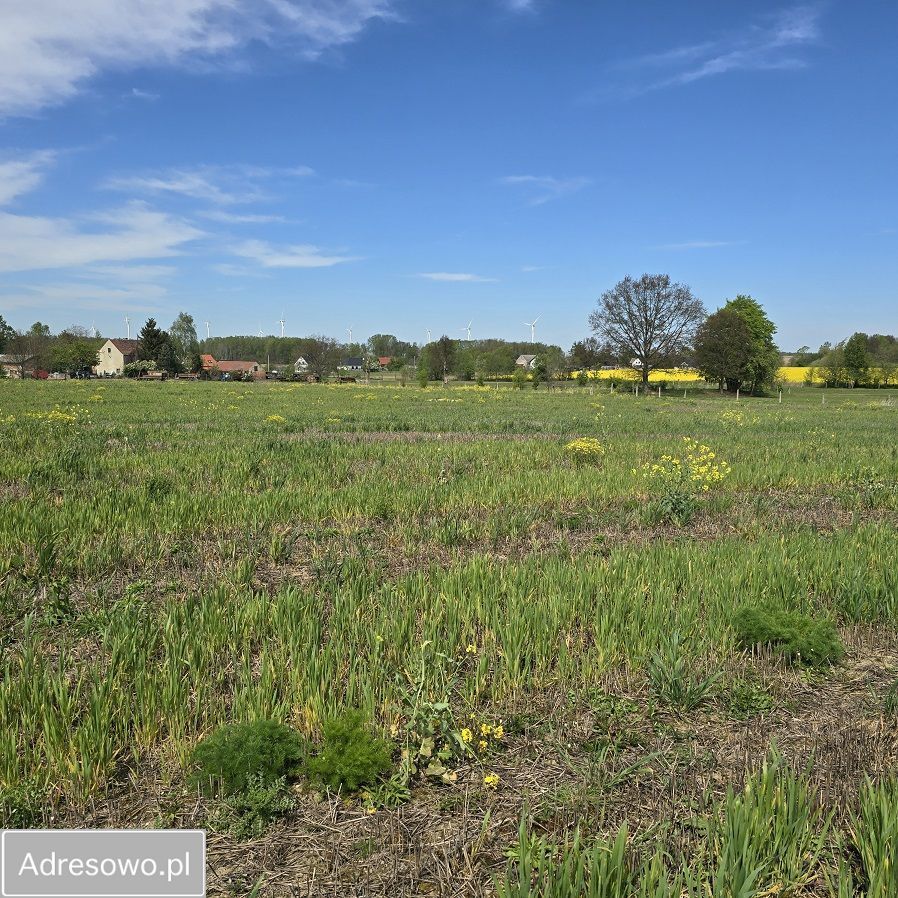 Działka budowlana Trójca. Zdjęcie 4