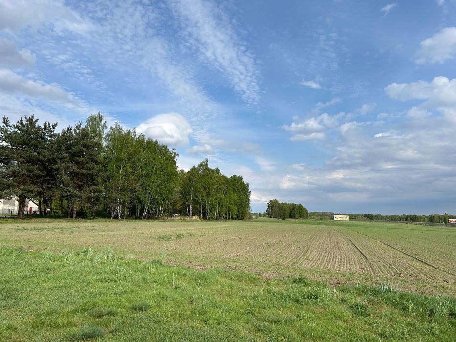 Działka rolno-budowlana Bobiecko. Zdjęcie 2