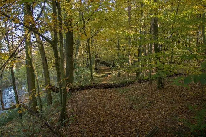 Działka budowlana Rybitwy. Zdjęcie 3