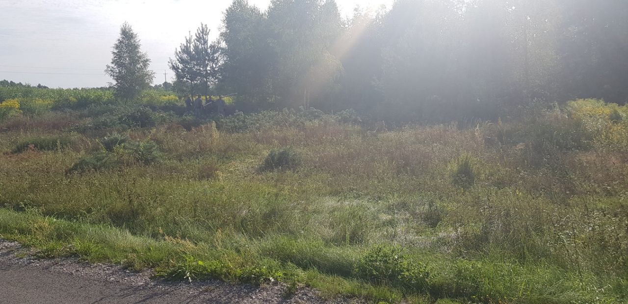 Działka siedliskowa Pogorzałe Ługi