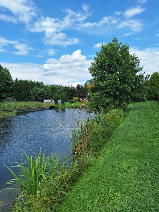 Działka Strzygi. Zdjęcie 4