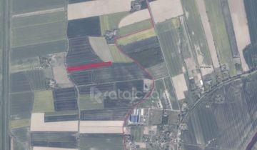 Działka budowlana Drewnica, ul. Wierzbowa