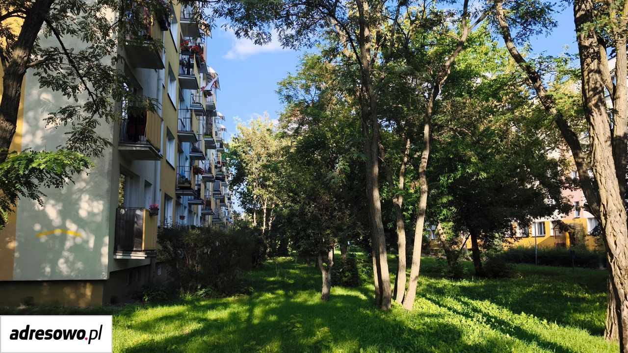Mieszkanie 3-pokojowe Toruń Rubinkowo, ul. Józefa i Sylwestra Buszczyńskich. Zdjęcie 13