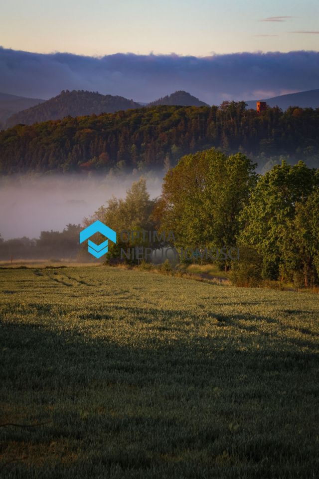 Lokal Dziwiszów. Zdjęcie 15