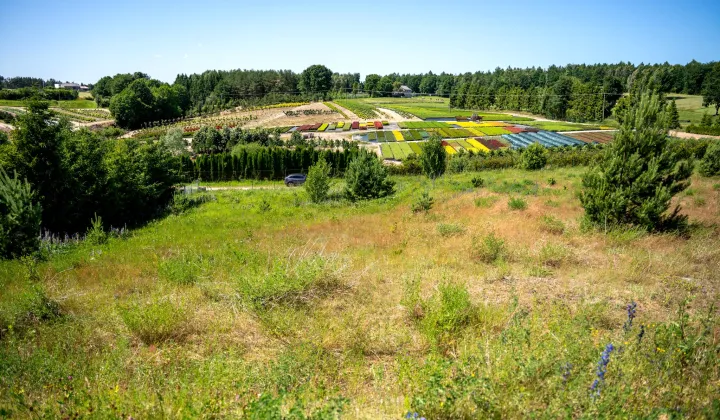 Działka rolno-budowlana Garcz, ul. Widokowa