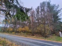 Działka leśna Dobków. Zdjęcie 3