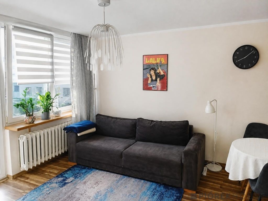 Mieszkanie 1-pokojowe Warszawa Praga-Południe, ul. Brazylijska. Zdjęcie 2