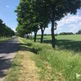 Działka inwestycyjna Dobrzejowice. Zdjęcie 1