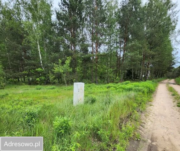 Działka siedliskowa Lipowy Most. Zdjęcie 1