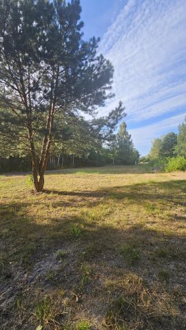 Działka budowlana Dziechciniec, ul. Ziołowa. Zdjęcie 1