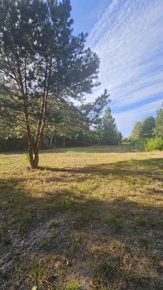 Działka budowlana Dziechciniec, ul. Ziołowa