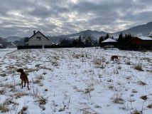 Działka budowlana Lipowa, ul. Pomarańczowa. Zdjęcie 2