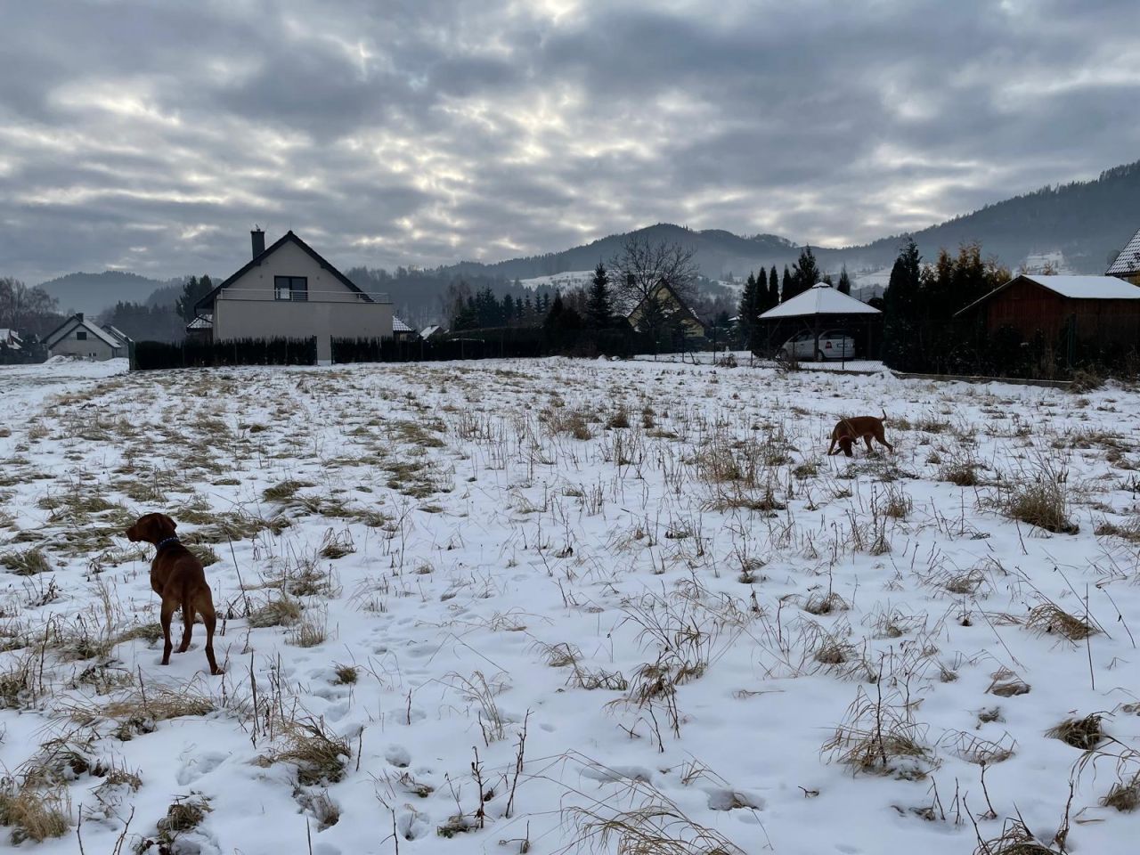 Działka budowlana Lipowa, ul. Pomarańczowa. Zdjęcie 3