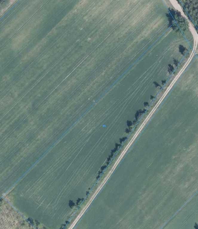 Działka rolna Knorydy. Zdjęcie 2