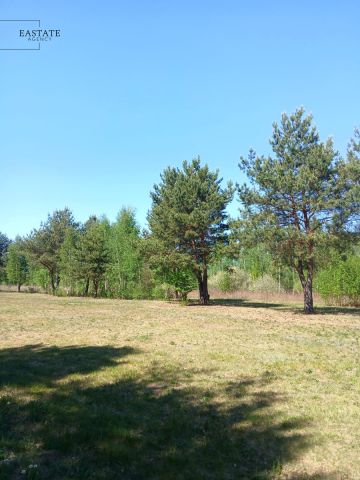 Działka budowlana Koryta, ul. Lipowa. Zdjęcie 4