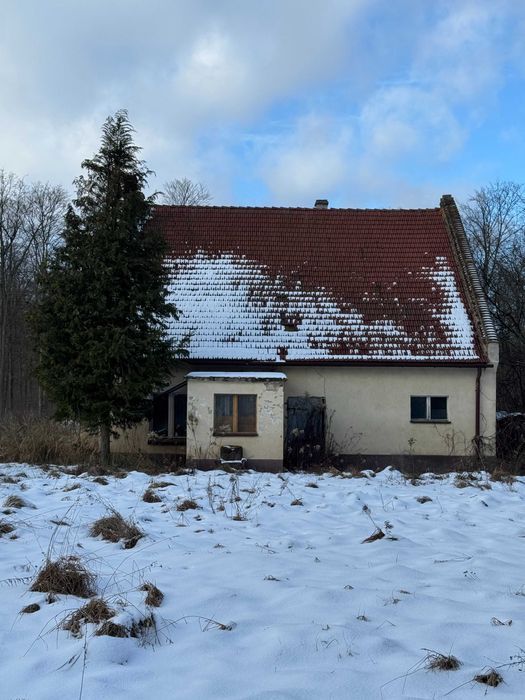 dom wolnostojący, 2 pokoje Dobroszyce. Zdjęcie 1