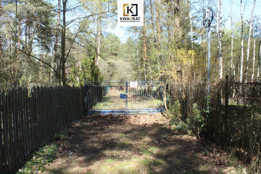 Działka budowlana Rynia. Zdjęcie 2