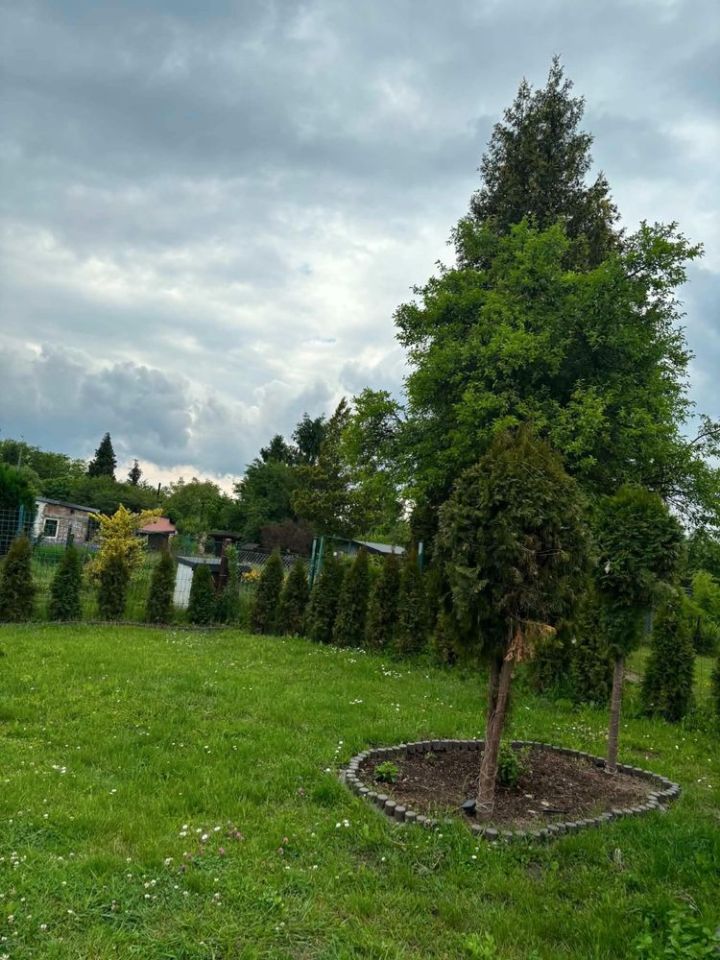 Działka rod Bytom. Zdjęcie 5