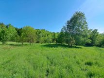 Działka rolna Baryczka. Zdjęcie 4