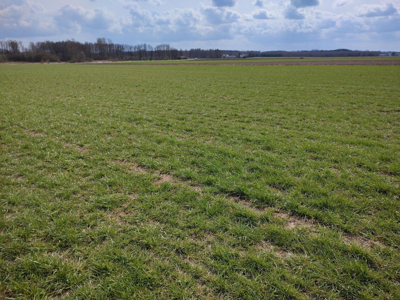 Działka rolno-budowlana Przeździecko-Drogoszewo. Zdjęcie 10