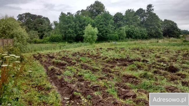 Działka inwestycyjna Bezledy. Zdjęcie 5