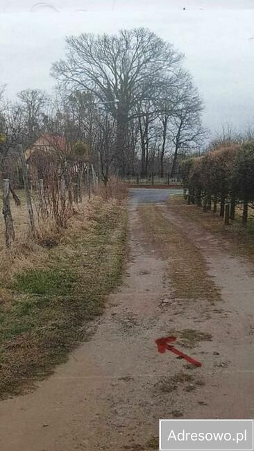 Działka budowlana Uraz. Zdjęcie 2