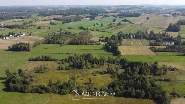 Działka rolna Gowidlino. Zdjęcie 3