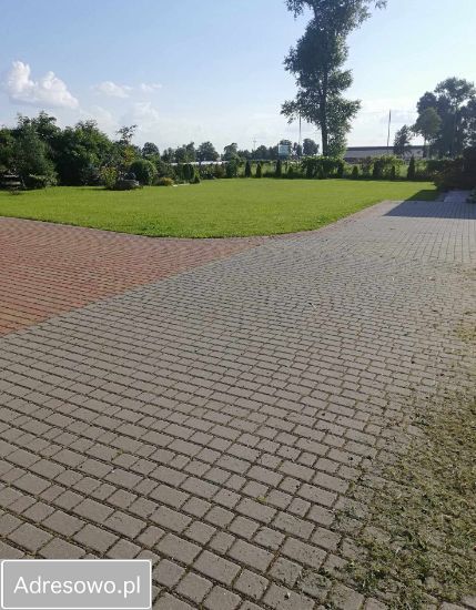 Lokal Szynwałd. Zdjęcie 5