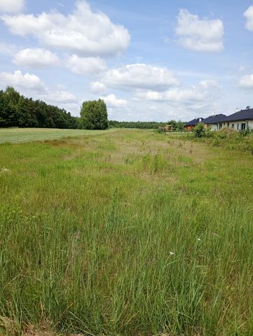 Działka rolno-budowlana Aleksandria Aleksandria Druga, ul. Gwiezdna. Zdjęcie 1