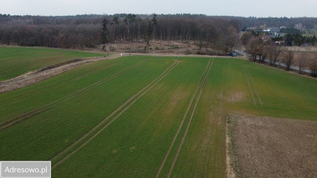 Działka budowlana Grzebienisko. Zdjęcie 1