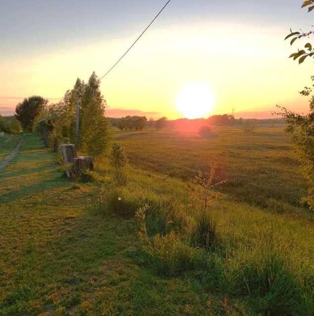 Działka rolno-budowlana Jagodne. Zdjęcie 4