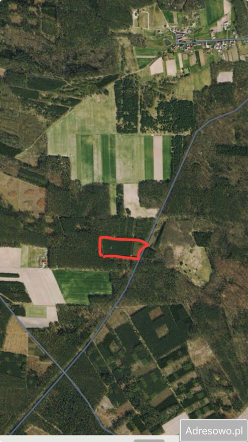 Działka leśna Górowo. Zdjęcie 6