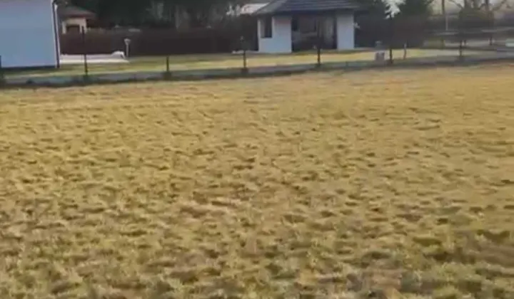 Działka budowlana Żółwin, ul. Rozlewisko