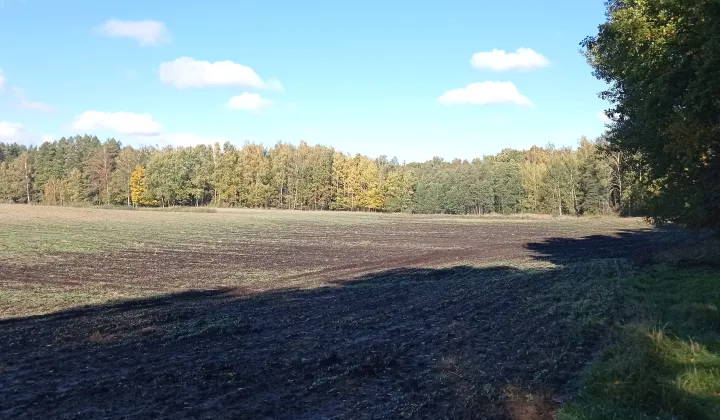 Działka rolna Połapin