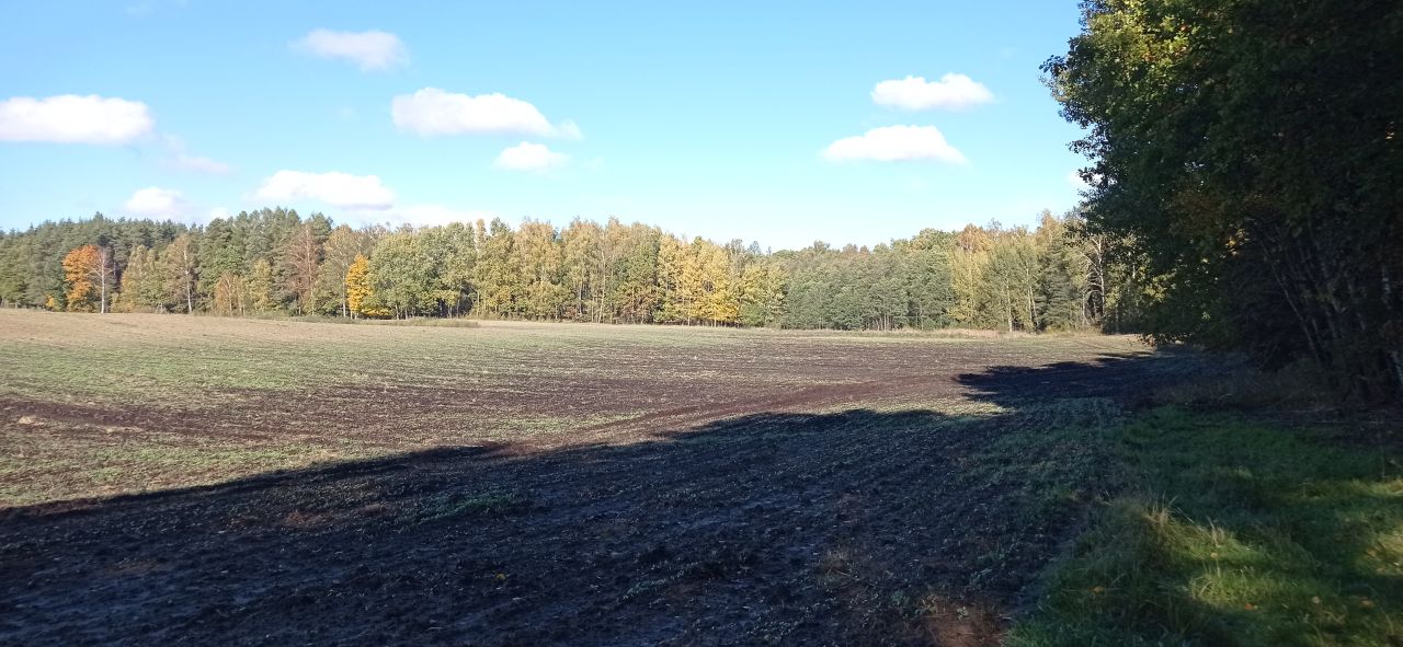 Działka rolna Połapin. Zdjęcie 1