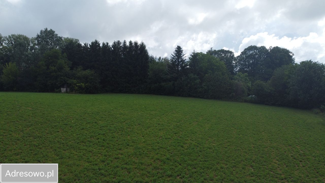Działka rolno-budowlana Drzewce-Kolonia. Zdjęcie 5